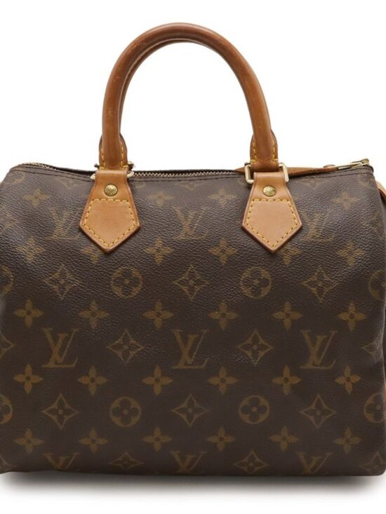 Louis Vuitton Handbags - Louis Vuitton Monogram Speedy 25 Mini Boston Bag